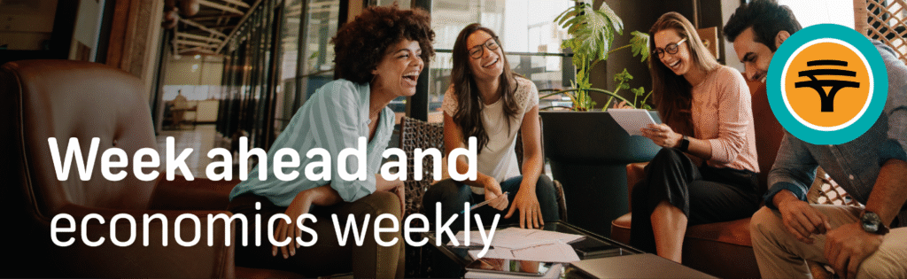 INVESTMENT ANALYST AT FNB WEALTH AND INVESTMENTS