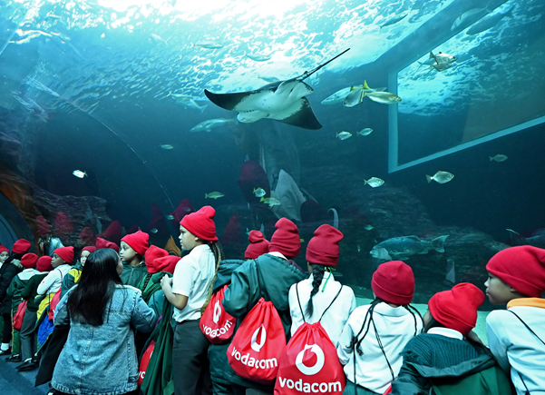 Vodacom Ignites a Green Generation with Eco-Warriors Sustainability Competition