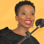 Public Protector Throws Out Steenhuisen’s Complaint, Vindicates President Ramaphosa