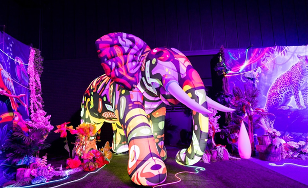 Countdown Begins for Rand Show 2026