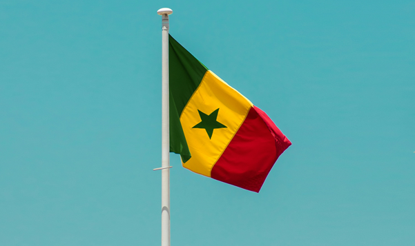 IOC Unveils Global Athlete Role Models for Historic Dakar 2026 Youth Olympic Games