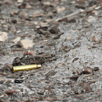 Two killed, four injured in Riverlea tavern shooting
